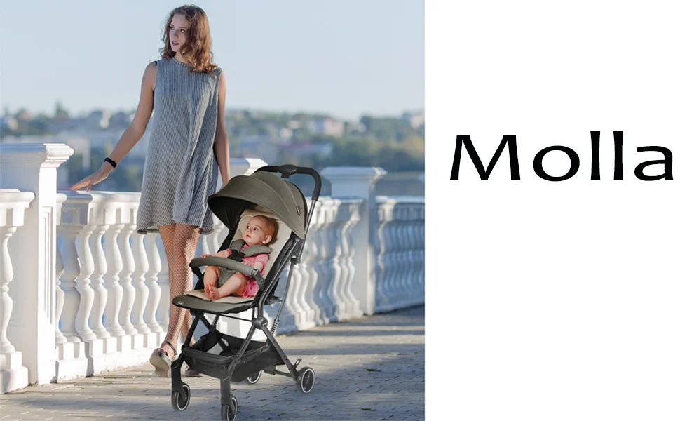 Brevi Մանկասայլակ MOLLA, տարիք՝ 0 ամս. - 15 կգ.outlet