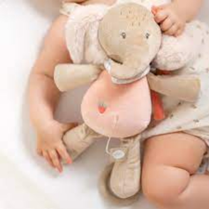 Nattou փափուկ երաժշտական խաղալիք` փիղ