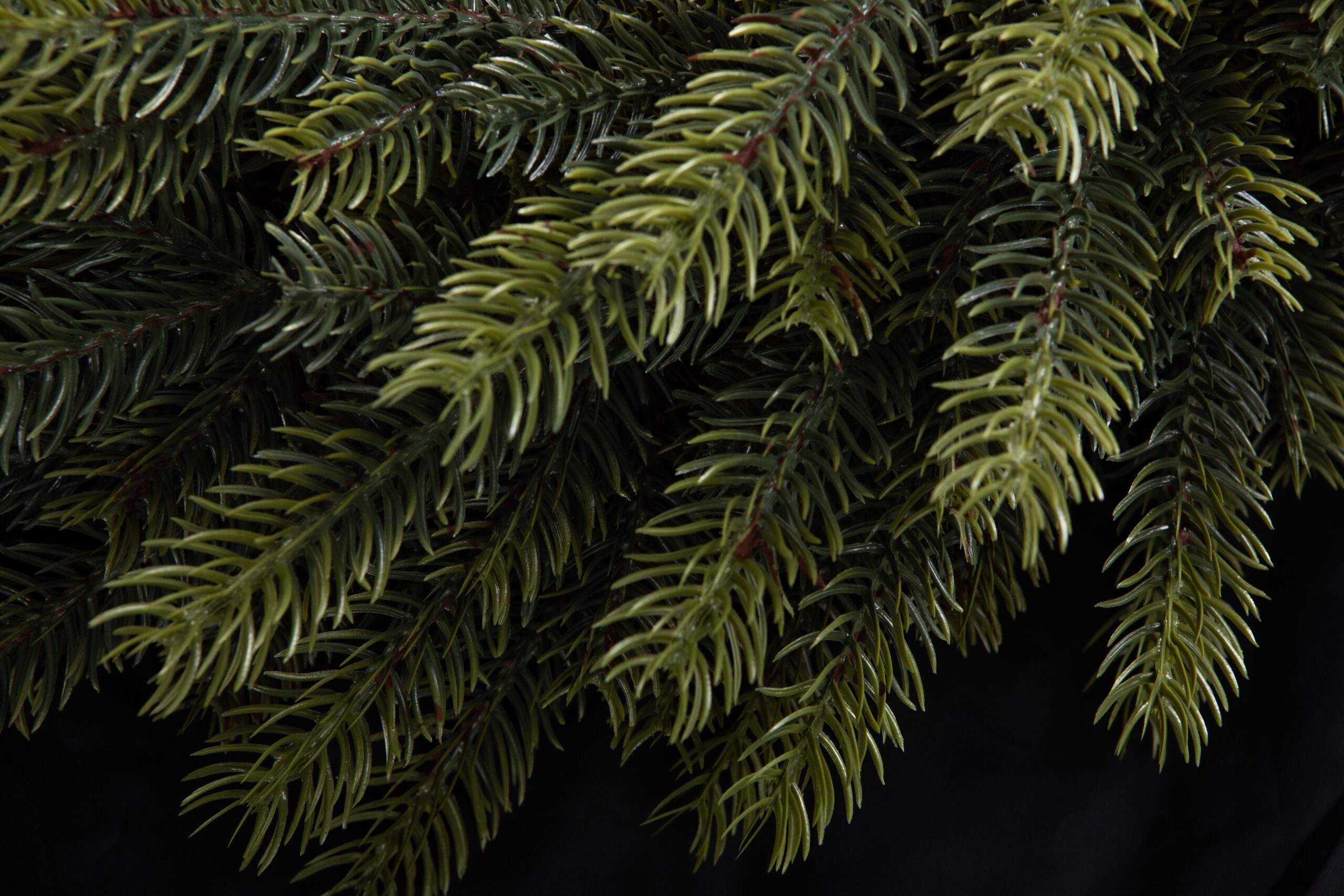 Ամանորյա օղակ CASHMERE SPRUCE PE, 50 սմ