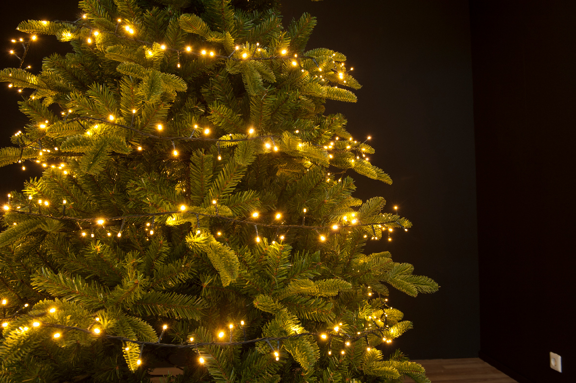 Լույս 2.4մ տոնածառի համար, 880 LED, green/classic warm