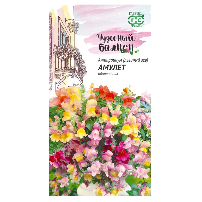 Անտիրրիում (Львиный зев) Амулет (ампельный)* 5հտ, տուփ