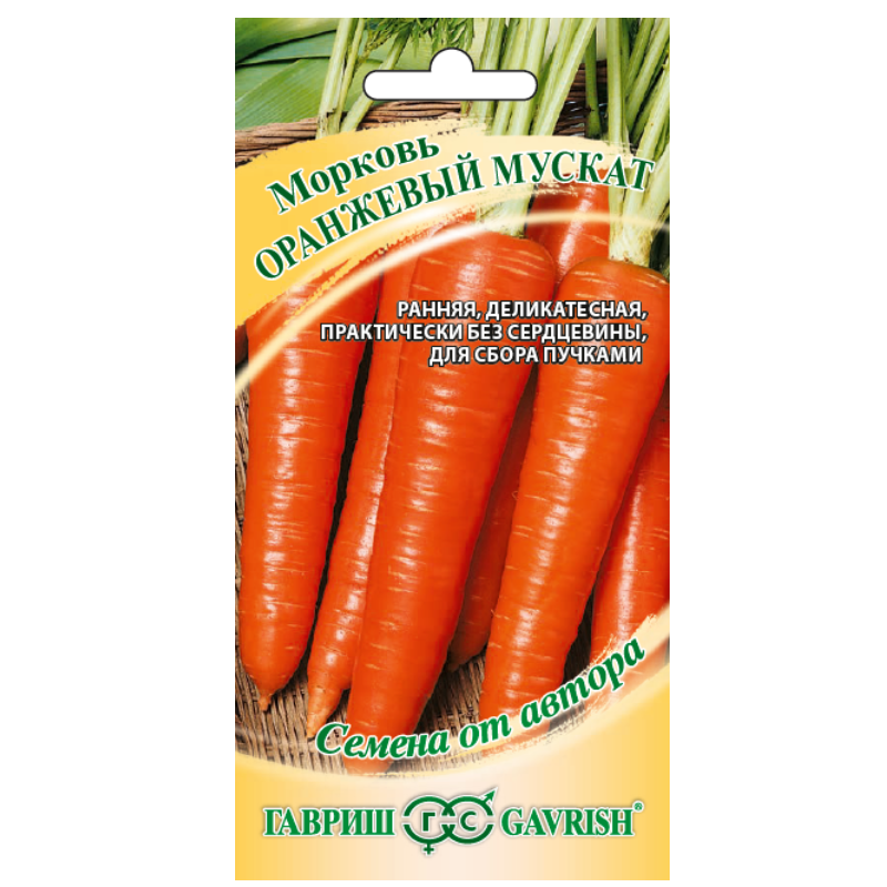 Գազար 
