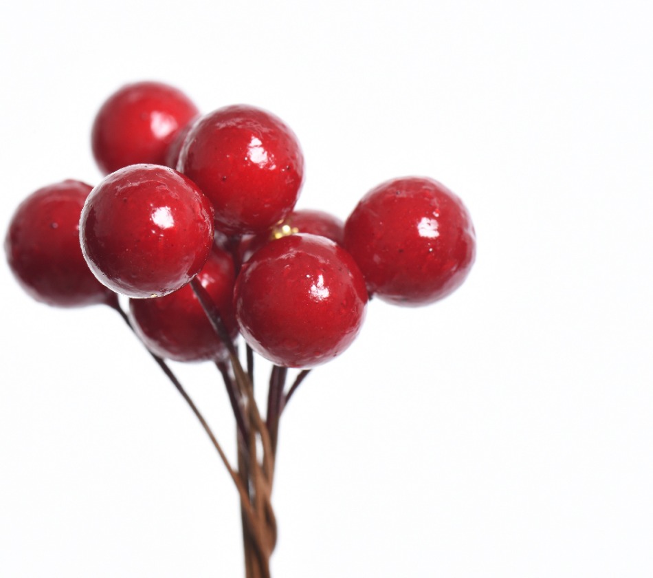 Կարմիր հատապտուղներով ճյուղեր, 4x9x11.5սմ