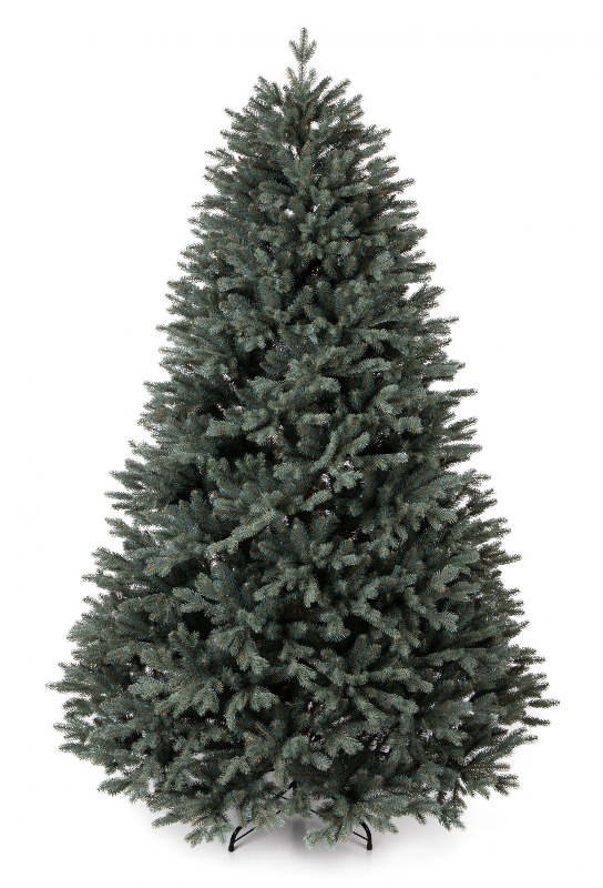 Տոնածառ Silver spruce PE Exclusive, 250 սմ, Մ 156սմ